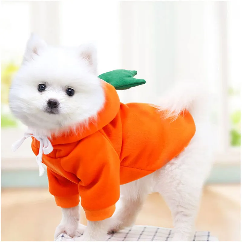 Cute Fruit Dog Hoodie Cozy Winter Fleece for Pets