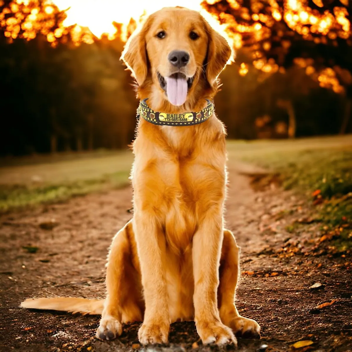 Local Leather Dog Collar