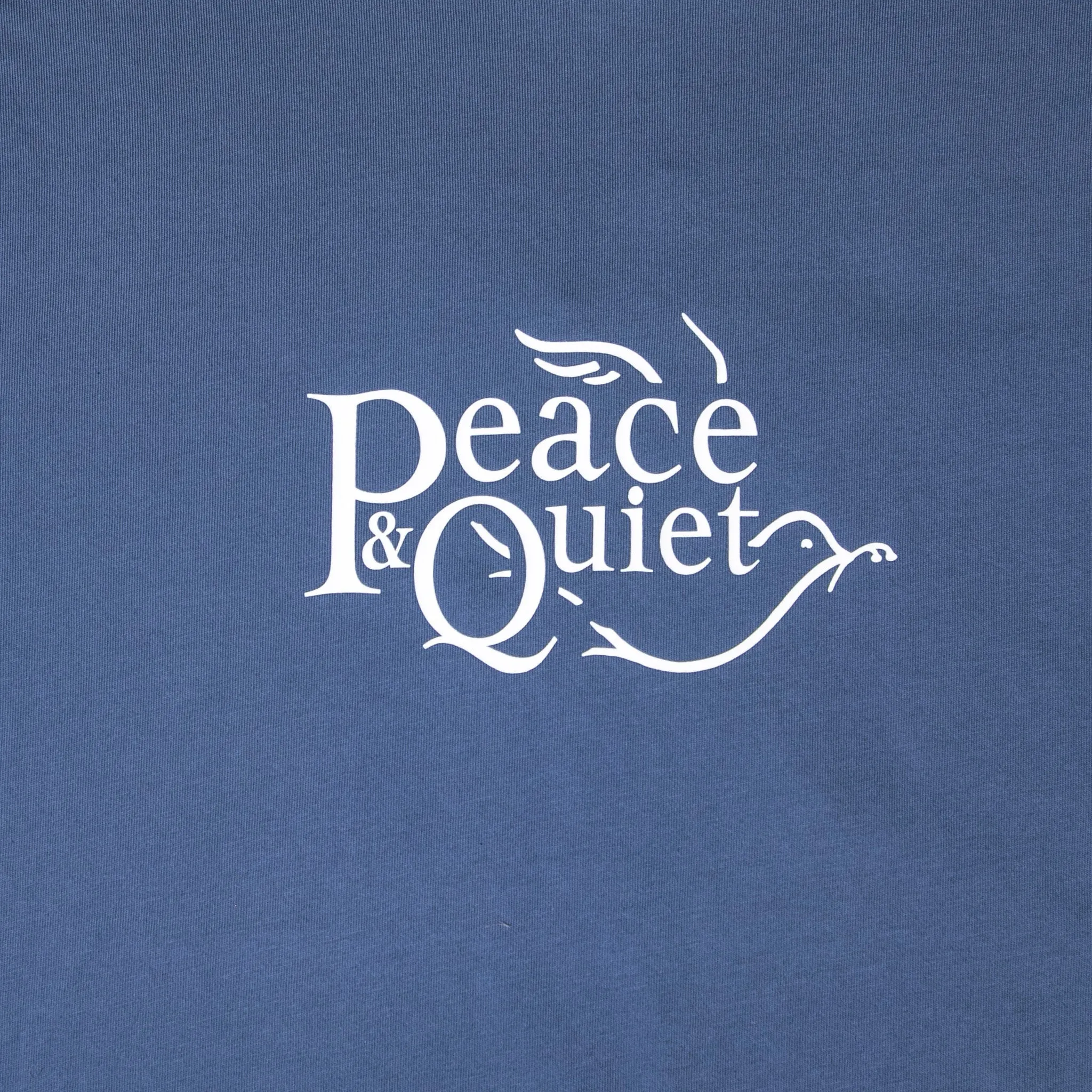 Museum of Peace and Quiet Glide T-Shirt (Coastal Blue)