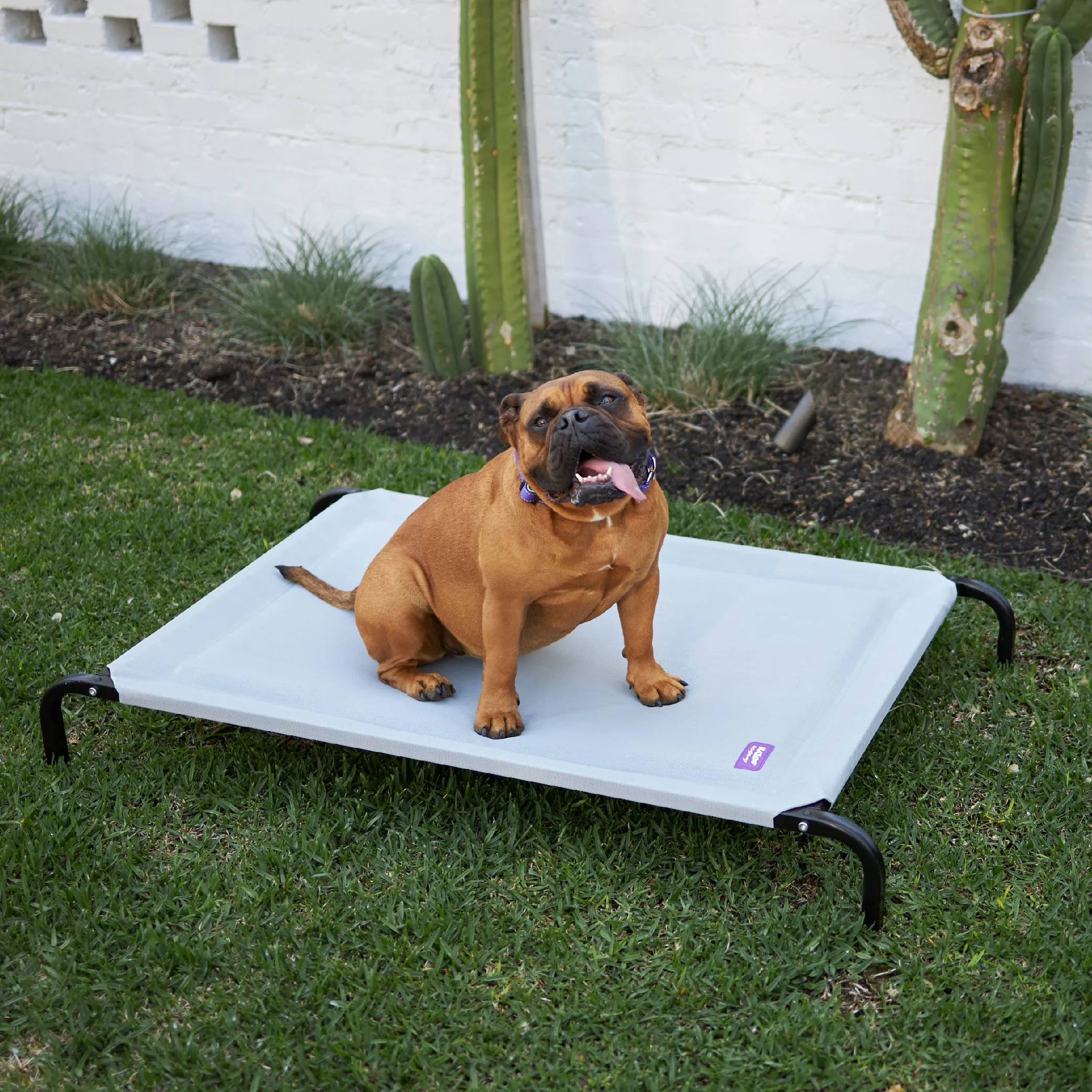 Pillow Top Outdoor Dog Bed - Ash Grey