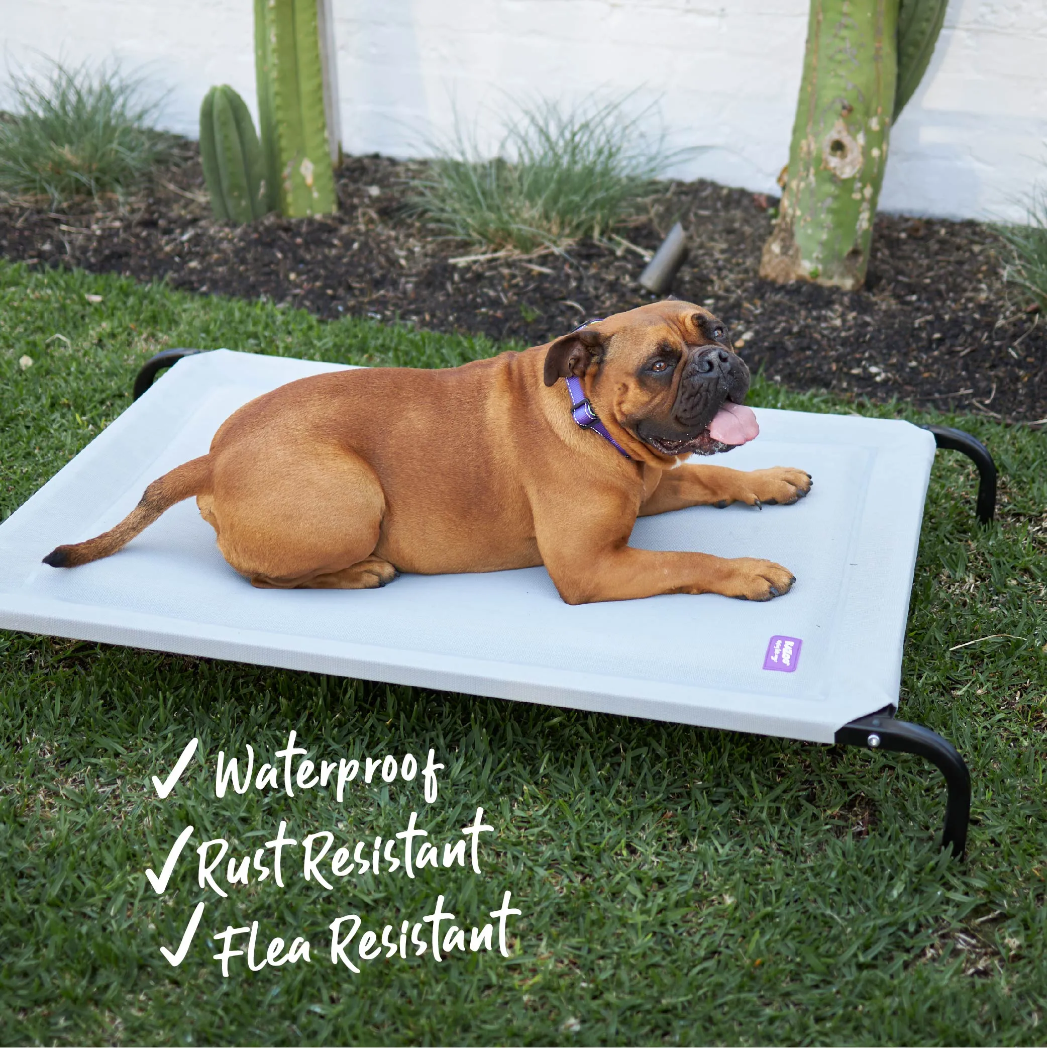 Pillow Top Outdoor Dog Bed - Ash Grey