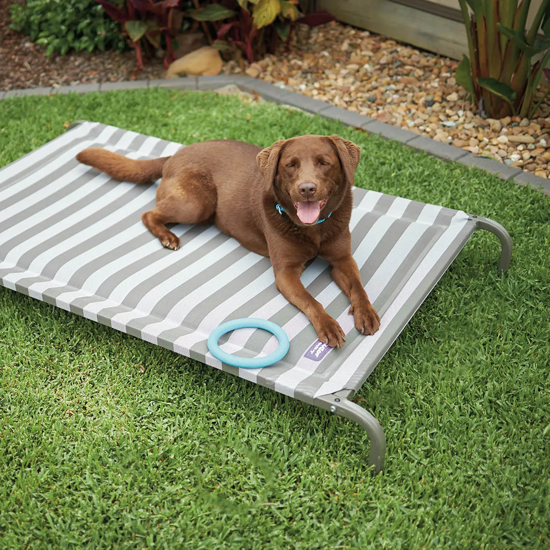 Pillow Top Outdoor Dog Bed - Striped