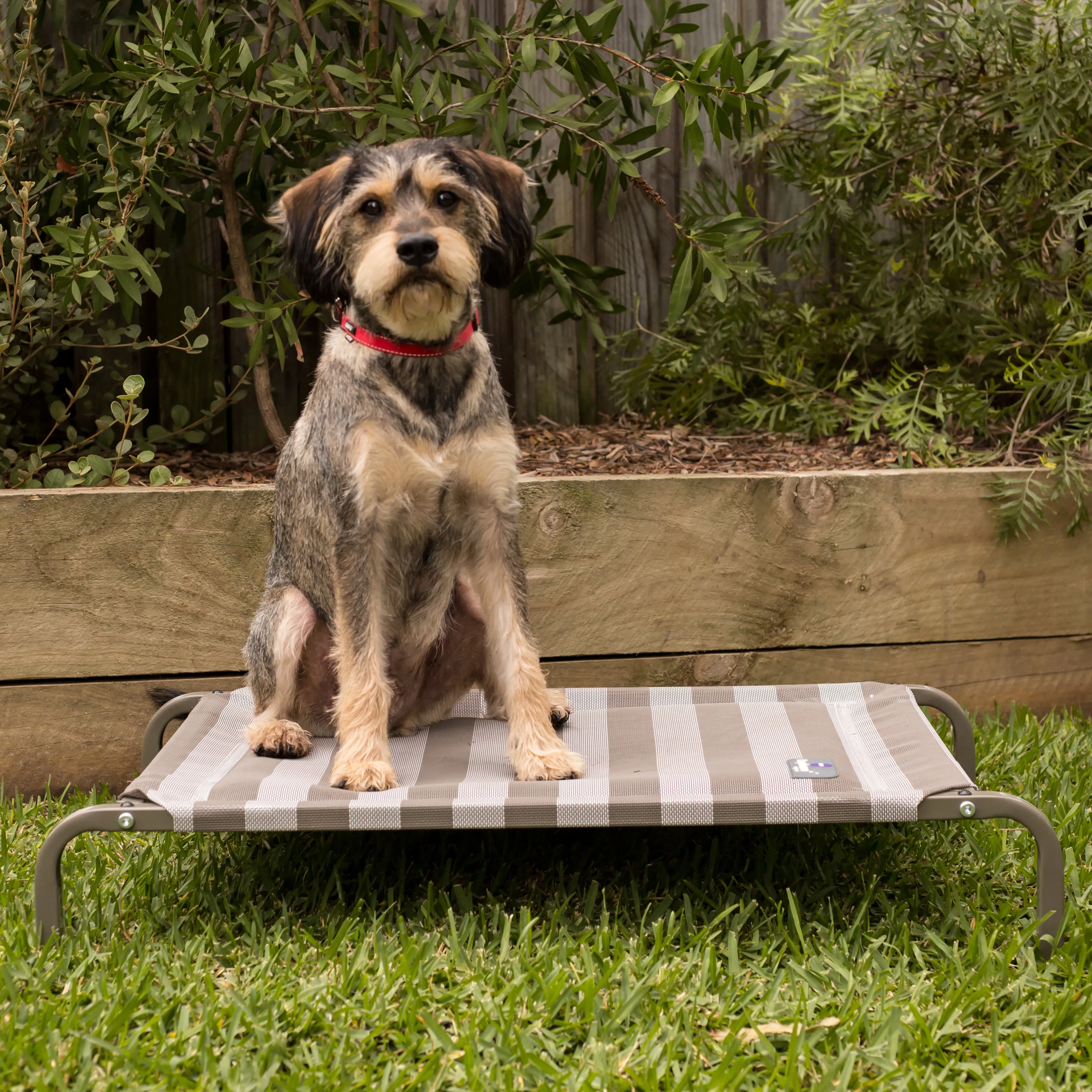 Pillow Top Outdoor Dog Bed - Striped